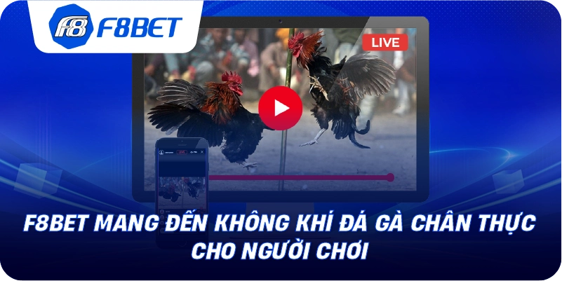 F8BET mang đến không khí đá gà chân thực cho người chơi