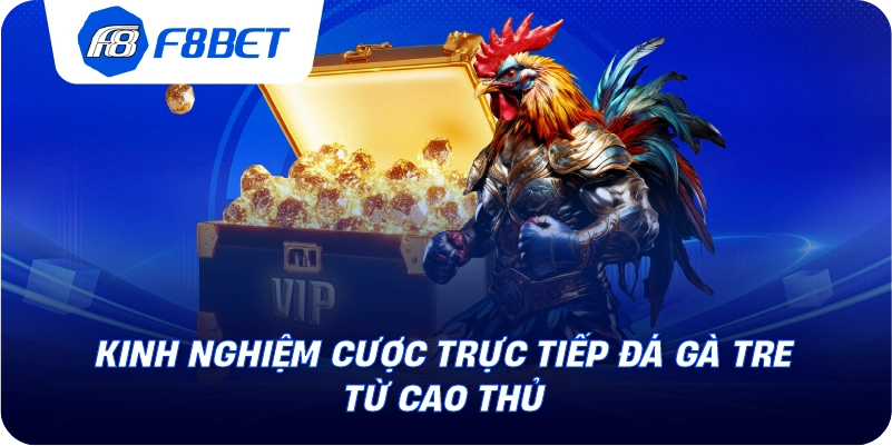 Kinh nghiệm cược trực tiếp đá gà tre từ cao thủ